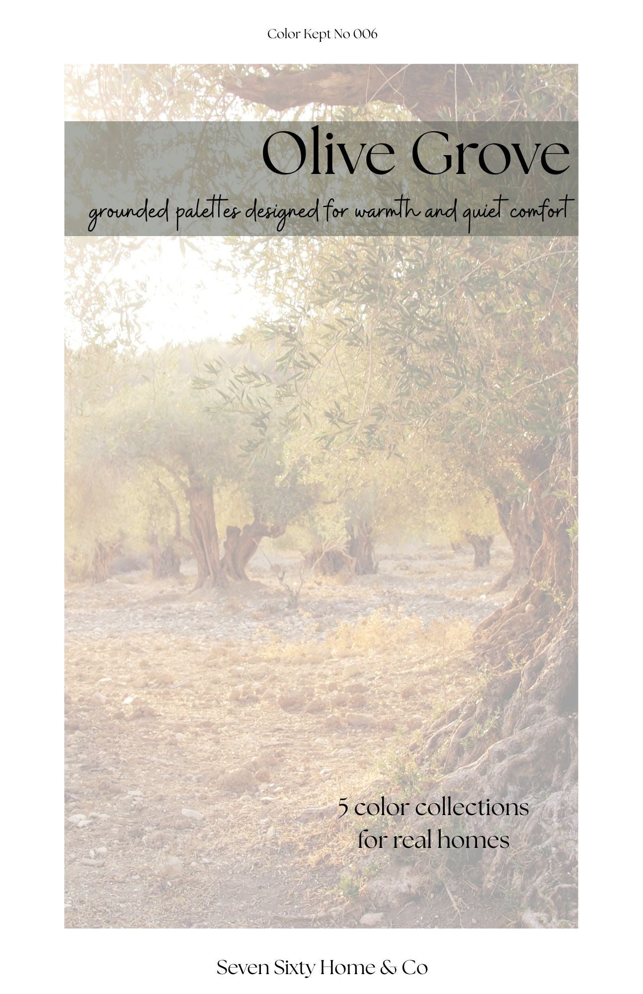Olive Grove